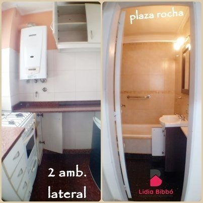 Imagen 19 de 19 de Departamento 2 Ambientes Lateral