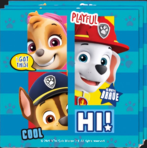 Cumpleaños Tematica Paw Patrol 12 Invitados Cotillon
