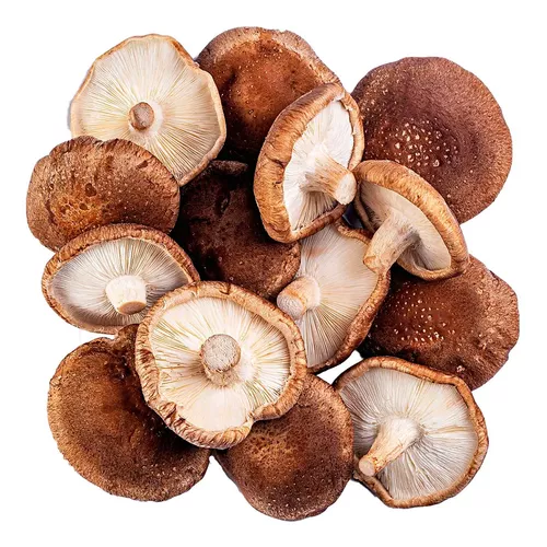 Shitake Cogumelo Desidratado Inteiro Gw 100g