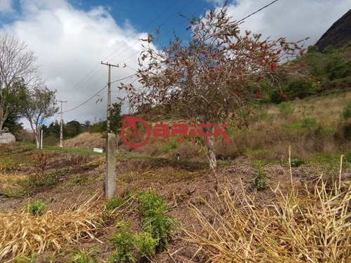 Imagem 12 de 16 de Terreno Com Mais De 2 Mil M² Dentro De Condomínio Em Vieira, Teresópolis/rj. - Te00202 - 33751391