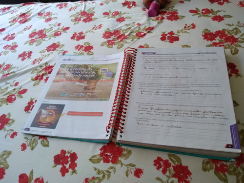 Apostila Anglo 6° Ano Caderno 4 Editora Somos Educação (Usado)