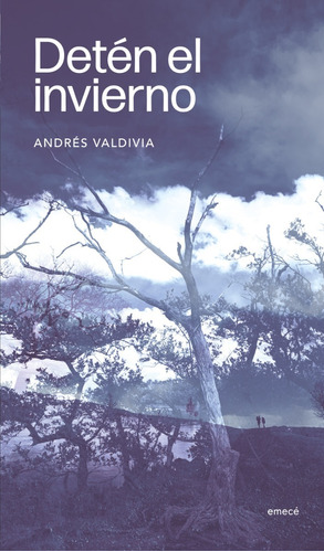 Libro Detén El Invierno - Andrés Valdivia