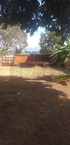Imagen 4 de 4 de Terreno En Trigal Norte Cod:142523 Marimer 04124382769