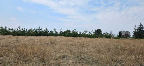 Terreno Rústico En Venta En Amealco Querétaro
