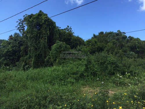 Imagem 1 de 5 de Terreno - Venda - Gaivotas - Itanhaém - Ita3175