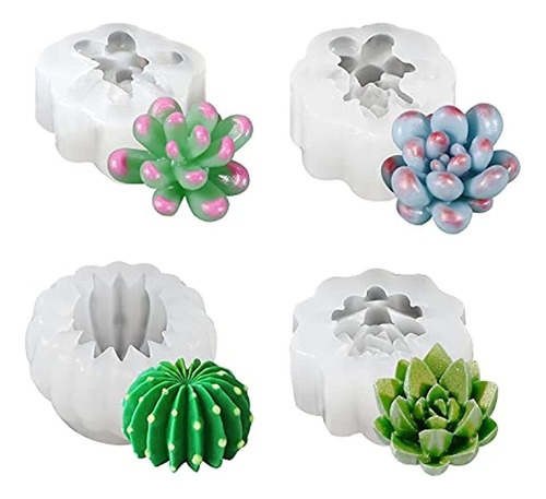 4 Suculentas Grandes Cactus Flor Plantas Moldes De Silicona