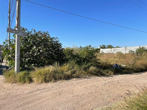 Terreno En Renta En Rincon De Los Arcos