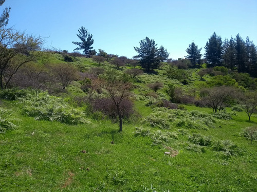 Parcela 1 Hectárea Para Proyecto Sustentable | Navidad
