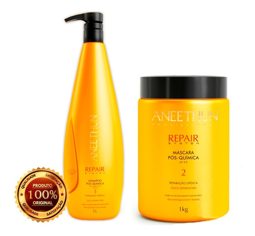 Kit Aneethun Repair System Shampoo Máscara Profissional Full