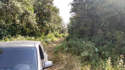 Imagem 8 de 16 de Ótima Área Para Sítio Com 27.500 M² De Área Total, Com Riacho, Construção Para Terminar, No Balneário Gaivota, Em Itanhaém Ref: 4690/ac
