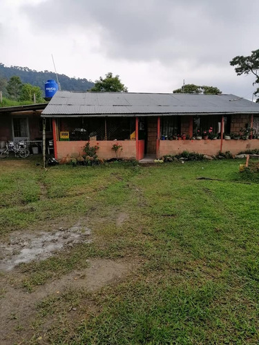 Vendo Finca En Pacho Cundinamarca De 2.5 Fanegadas 