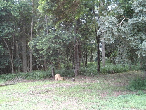 Imagem 21 de 30 de Vendo Área Na Estiva Em Louveira Com 150 Mil M². - Ar00006 - 2586566