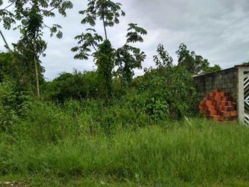 Terreno Lado Praia De 260 Mts Em Itanhaém - 5189 | Npc