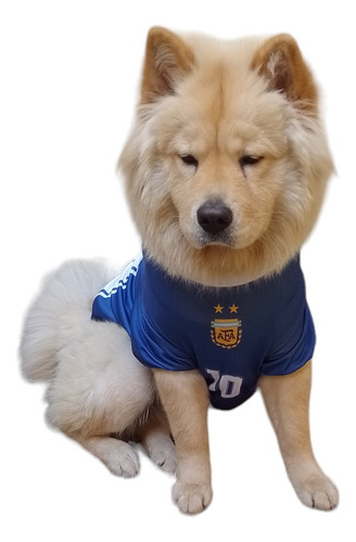 Camiseta De FĂștbol Para Perros Maradona Mundial 94