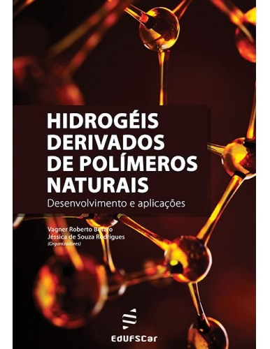 Hidrogéis derivados de polímeros naturais: Desenvolvimento e aplicações, de Botaro, Vagner Roberto. Editora Fundação de Apoio Inst. Ao Desenv. Cient. E Tecnologico, capa mole em português, 2021