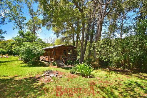 Imagen 13 de 18 de A Mts Av 2 Venados Y Lola Mora 2501 M2 Arbolado Excelente