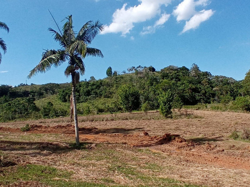 Imagem 5 de 21 de 03t- Venha Usufluir Da Cachoeira No Quintal Da Sua Casa!!