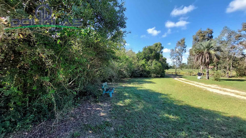 Imagem 15 de 15 de 4,6 Hectares Com Acesso Para Lagoa , Águas Claras/viamão-rs - 1846