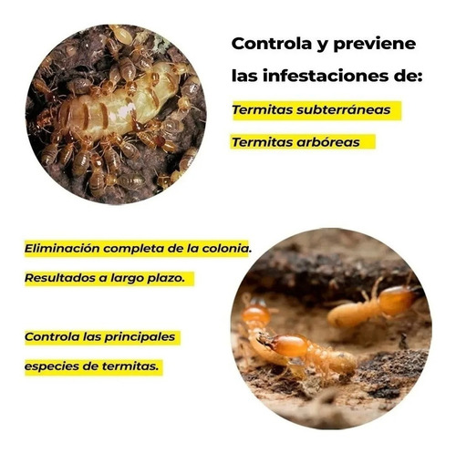 Termidor 25 Ce 250 Ml Insecticida Fipronil Termitas 2 Piezas
