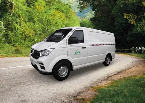 Dongfeng Van Gnv