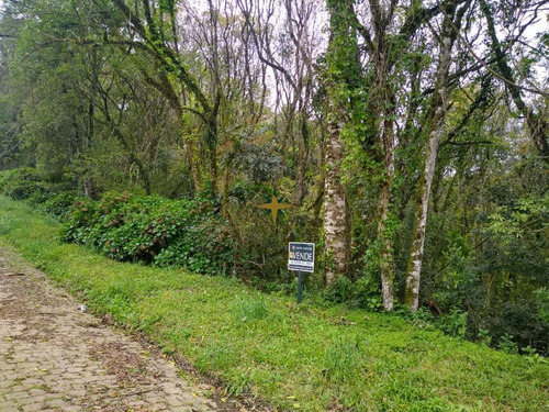Imagem 2 de 4 de Terreno Em Canela - 756