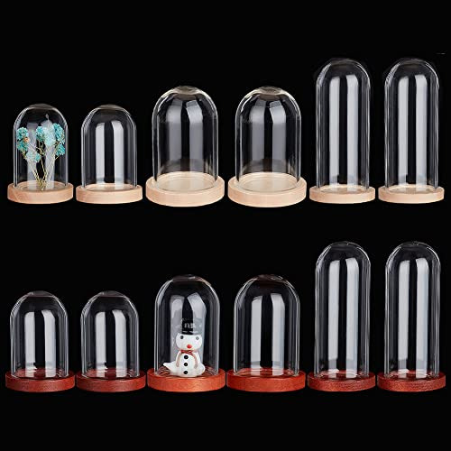 Ph Pandahall 10pcs Cloche Bell Jar, Glass Display 4b5sw