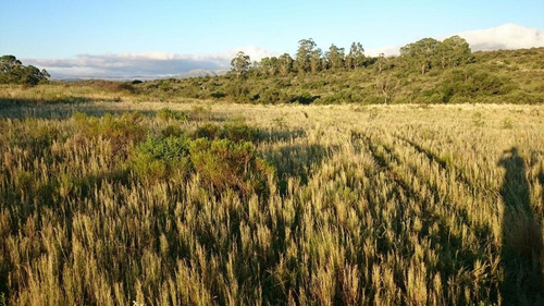 Imagen 6 de 9 de Venta Terreno - La Falda, Cordoba