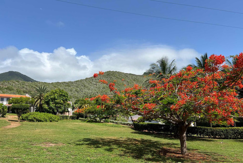 Terrazas Guacuco Margarita Arismendi Nva Esparta Cabaña Casa