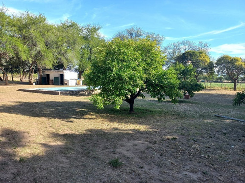 Imagen 6 de 14 de Campo Productivo En Leandro Alem