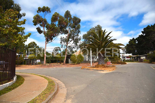 Terreno En Algarrobo Central