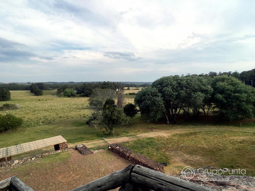 Imagen 11 de 29 de Chacra En Venta - La Pataia