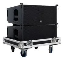 Comprar Par De Caja Parlante Dfx Sound Line Two + Flight Case