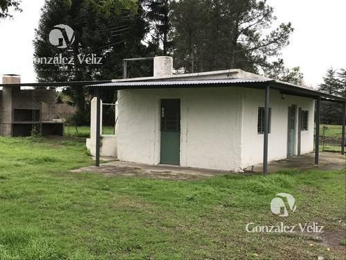 Imagen 2 de 5 de Venta