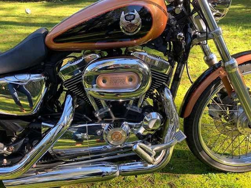 Imagen 3 de 6 de Harley Davidson - Sportster 1200xl 105th Anniversary Edition