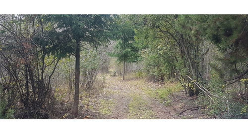 Lote 7,9 Ha Lago Puelo Increíbles Vistas