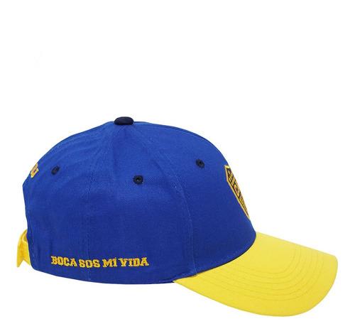 Imagen 2 de 10 de Gorra Gorro Boca River Oficial Hombre Mujer Trucker Adult Pp