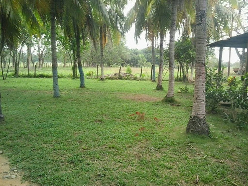 Imagen 2 de 22 de Finca Sector Caroní Estado Barinas En Venta
