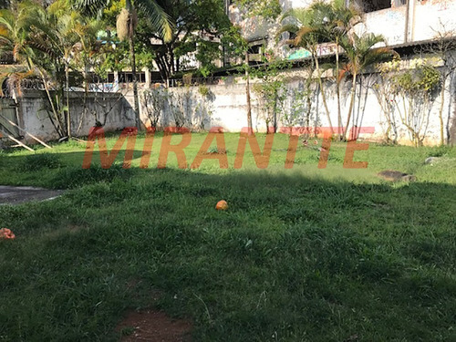Imagem 17 de 19 de Terreno Em Horto Florestal - São Paulo, Sp - 309848