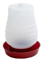 Comprar Bebedouro Para Frango De 2 Litros Bebedouro Pra Aves Frango