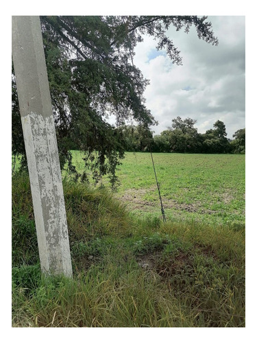 Imagen 5 de 7 de Terreno Venta Tepotzotlan