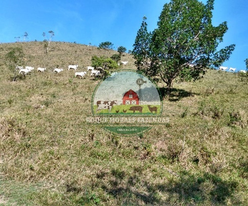 Imagem 23 de 29 de Fazenda Medindo 103 Alqueires Paulista No Vale Do Ribeira Sp Ref.: 0372