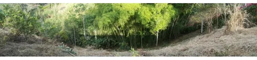Venta De Lote Calarca