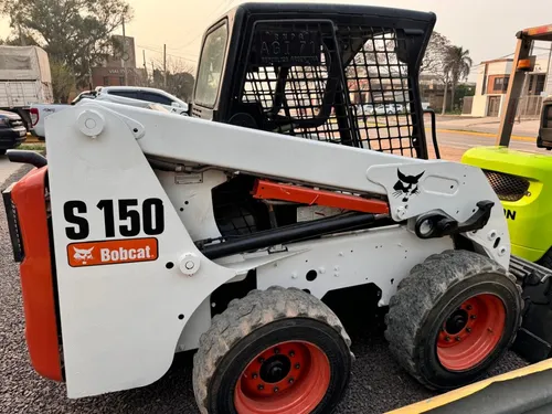 Bobcat