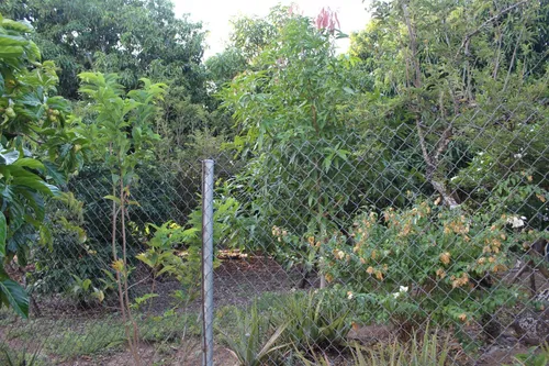 Finca En Piedras Tolima En La Zona Urbana