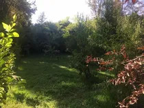 Comprar Parcelas De Agrado De 5000 Metros C\u002Fu.