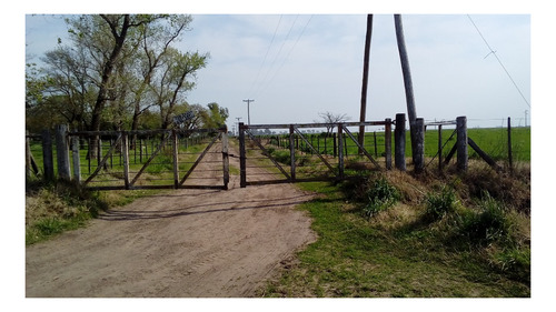 #  El Campo Se Encuentra Ubicado Sobre La Rn 188.frente A La Estación Laplacette  De Ferrocarril Que Fuera Rehabilitada Por Trenes Argentinos Cargas