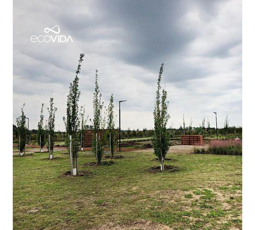 Terreno Sobre Avenida - Ecovida - Villa Amelia