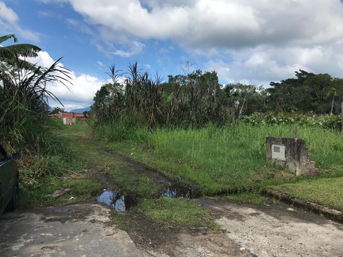 Imagem 8 de 19 de Terreno - Te00015 - 33826787
