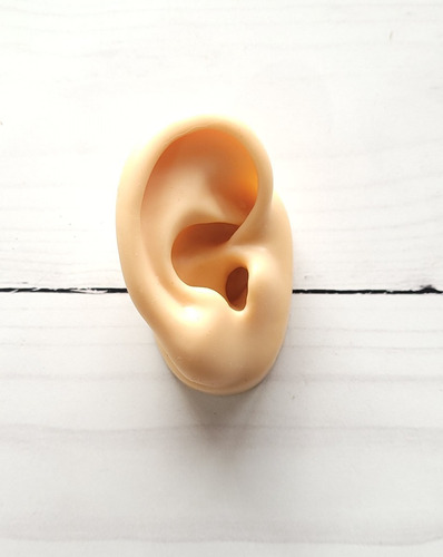 Imagen 1 de 2 de Oreja Realista Exhibidor Piercing Joyas
