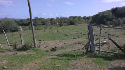72 Hectáreas En Cuchilla Juan Gomez